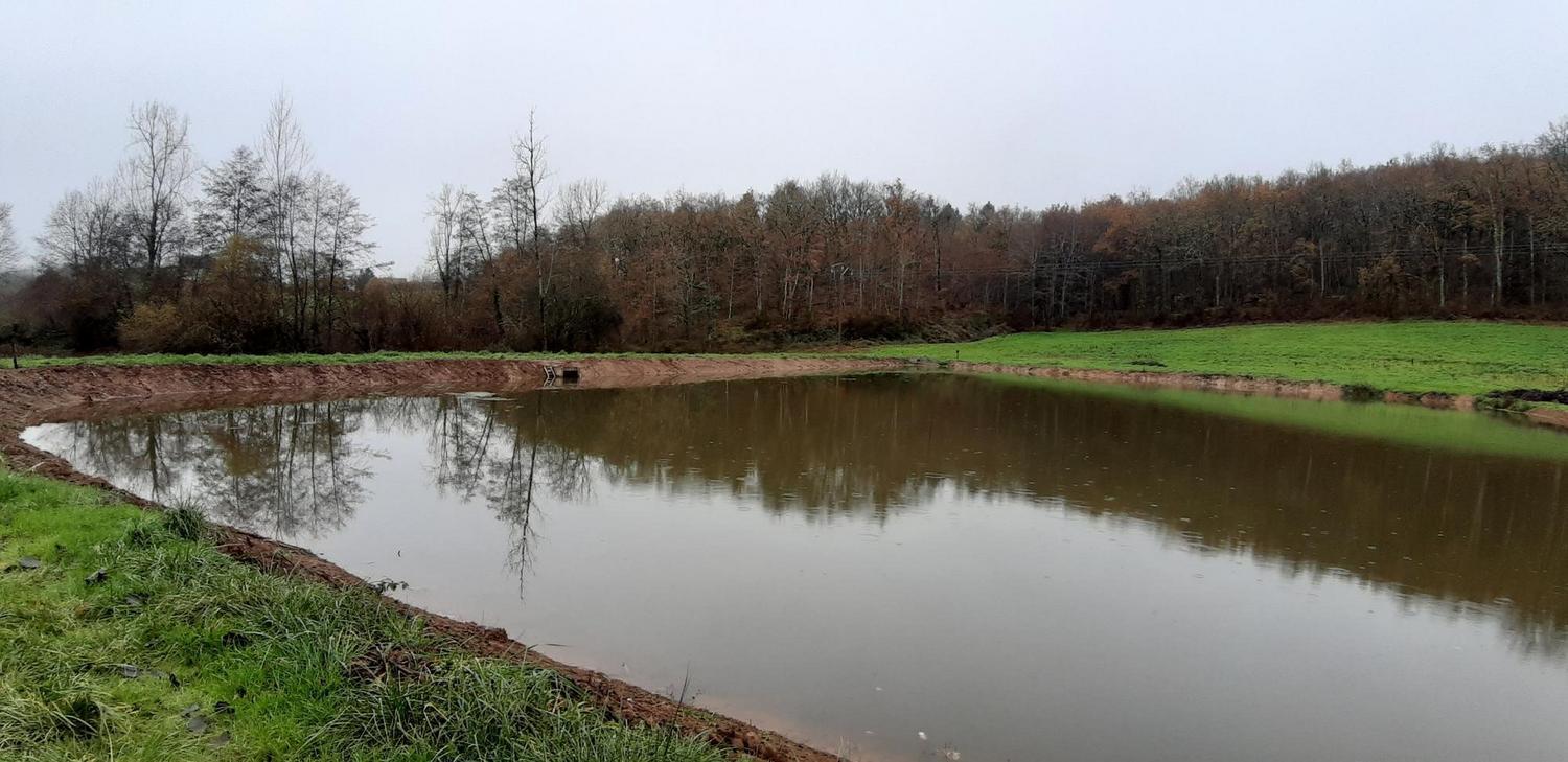 Domaine De La Moretie Cublac Экстерьер фото
